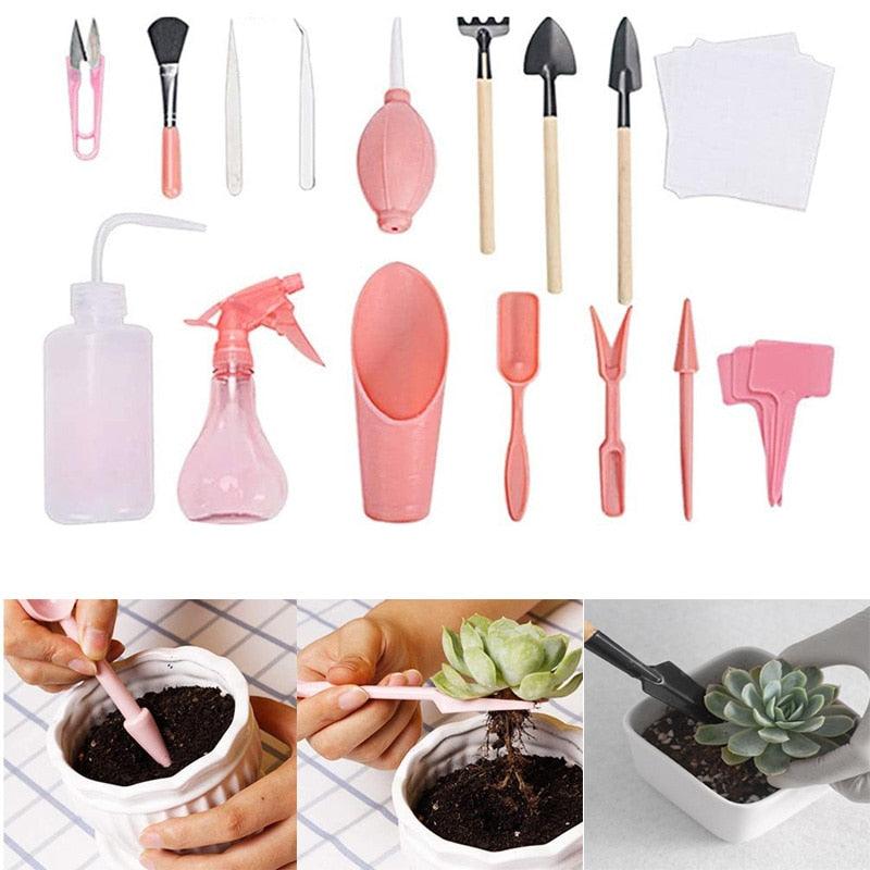 Kit de jardinagem para suculentas 12 peças - GM variedades