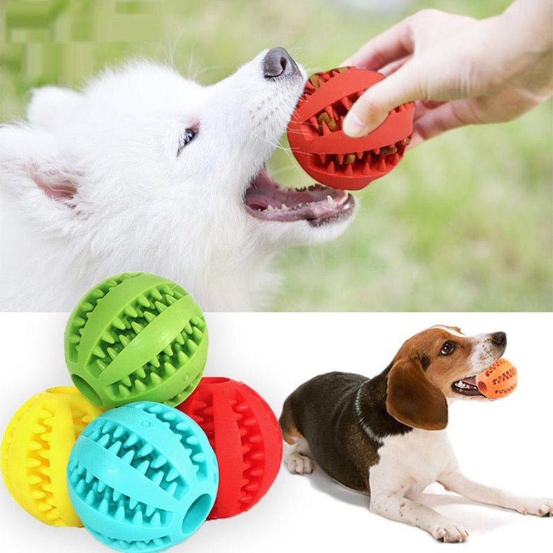 Bolinha de Borracha com Porta Petisco para Pets - GM variedades