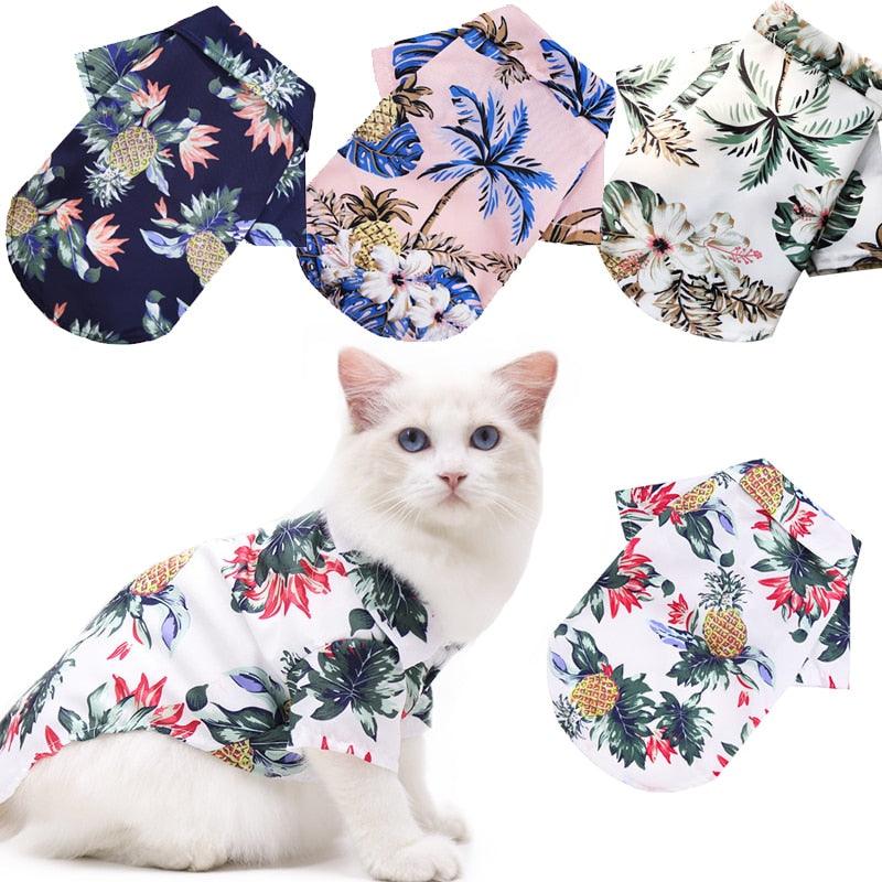 Camisa Verão para pets - GM variedades